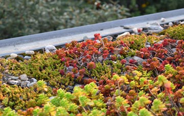 the cost of Eastover green roof installation